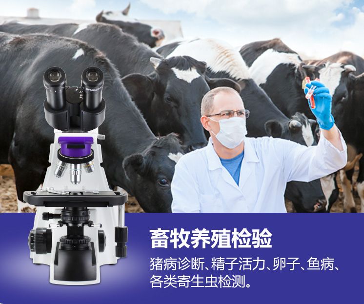 家畜精子密度劃分等級的標準是什么？